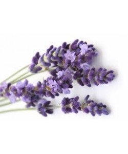 SALES DE BAÑO LAVANDA 250...