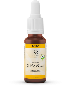 GOTAS BIO BACH WILD ROSE Nº37 20 ML