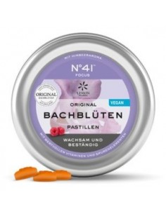 PASTILLAS  BACH Nº41 50 GR CONCENTRACIÓN