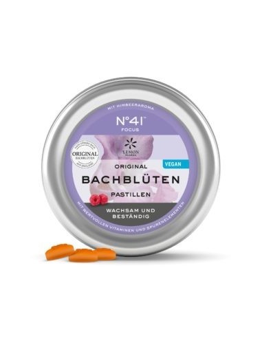 PASTILLAS  BACH Nº41 50 GR CONCENTRACIÓN