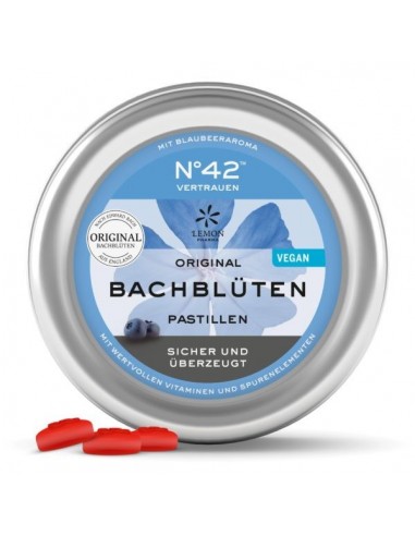 PASTILLA BACH Nº42 50 GR AUTOCONFIANZA