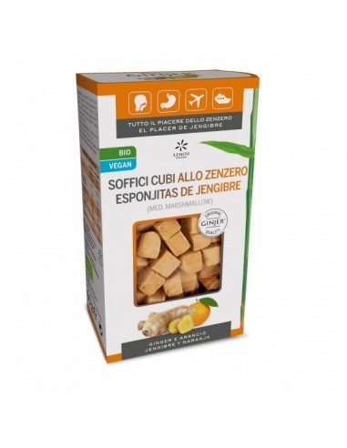 GINJER ESPONJITAS 60 GR BIO CON NARANJA