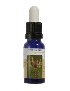 ESENCIA DE PINE. PINO 15 ML NESTINAR (BA32)