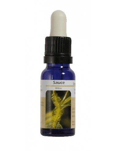 ESENCIA DE WILLOW . SAUCE 15 ML NESTINAR (BA34)