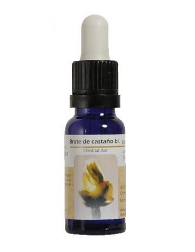 ESENCIA DE CHESNUT BUD. BROTE CASTA¥O BL15 ML BA10