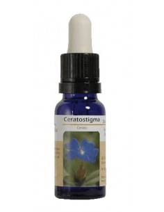 ESENCIA DE CERATO.CERATOSTIGMA 15 ML NESTINAR(BA16