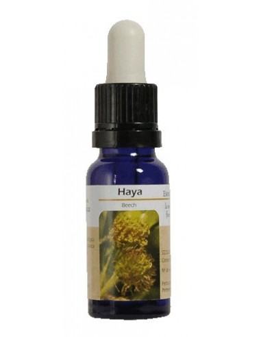 ESENCIA DE BEECH. HAYA 15 ML NESTINAR(BA21)