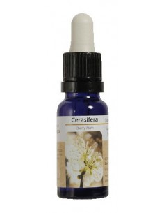 ESENCIA DE CENTAURY. CENTAUREA 15 ML NESTINAR(BA14