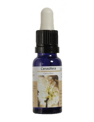 ESENCIA DE CENTAURY. CENTAUREA 15 ML NESTINAR(BA14