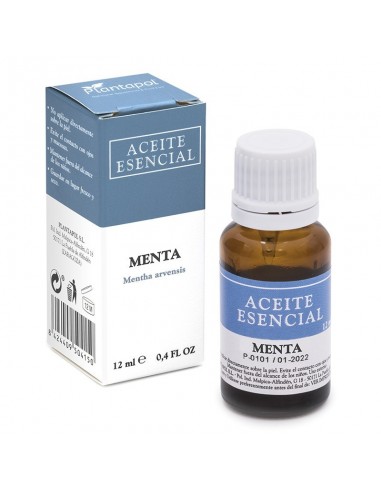 MENTA A.E.12 ML PLANTAPOL