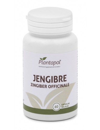 JENGIBRE 60X600 MG  PLANTAPOL