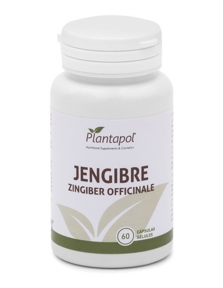 JENGIBRE 60X600 MG  PLANTAPOL