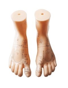 MODELO ANATOMICO PAREJA PIES D+I