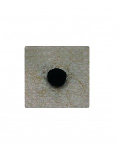 SEMILLAS CON ADHESIVO TEXTIL