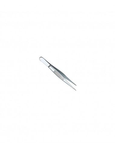 PINZA RECTA INOX 14 CM