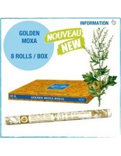 MOXA GOLDEN MARCO POLO 8 UNI