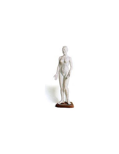 MODELO ANATOMICO DE MUJER PARA ACUPUNTURA 48 CM