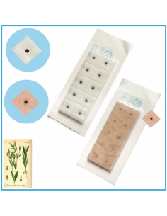 SEMILLA AURICULARES CON...