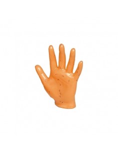MODELO ANATOMICO MANO 13 CM
