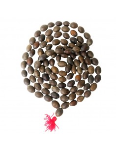 MALA DE SEMILLAS DE LOTO