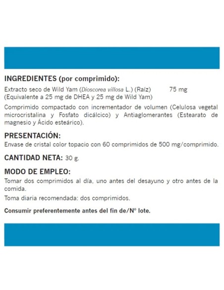 WILDHEAN CONTROLLED RELEASE 60 COMPRIMIMOS
