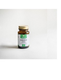 GINKGO BILOBA ESTAND 6000...