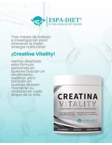 CREATINA MESH VITALITY 300 GR ESPADIET