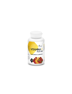 VITAMINA C PLUS 1000 PLANTAPOL