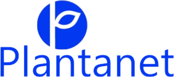 Plantanet